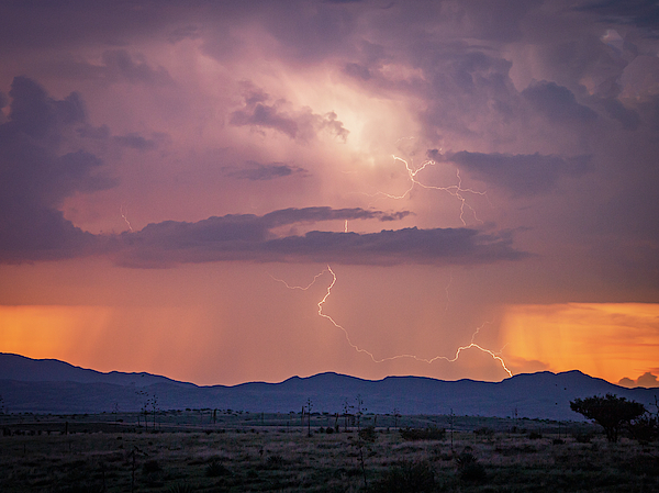 Bolts Everywhere by Laura Hedien Bolts Everywhere by Laura Hedien
