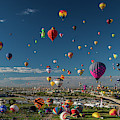 Balloons Balloons Balloons Everywhere
